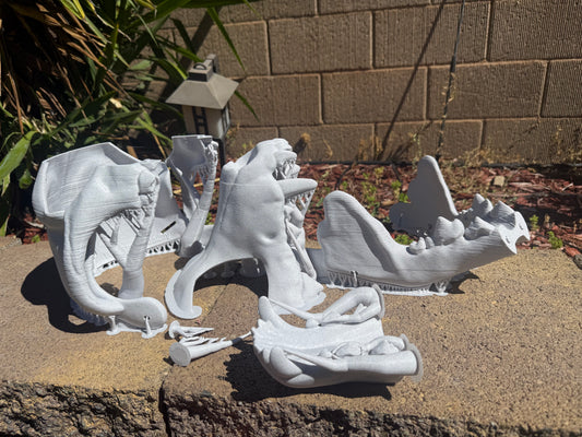 Discounted Skull base